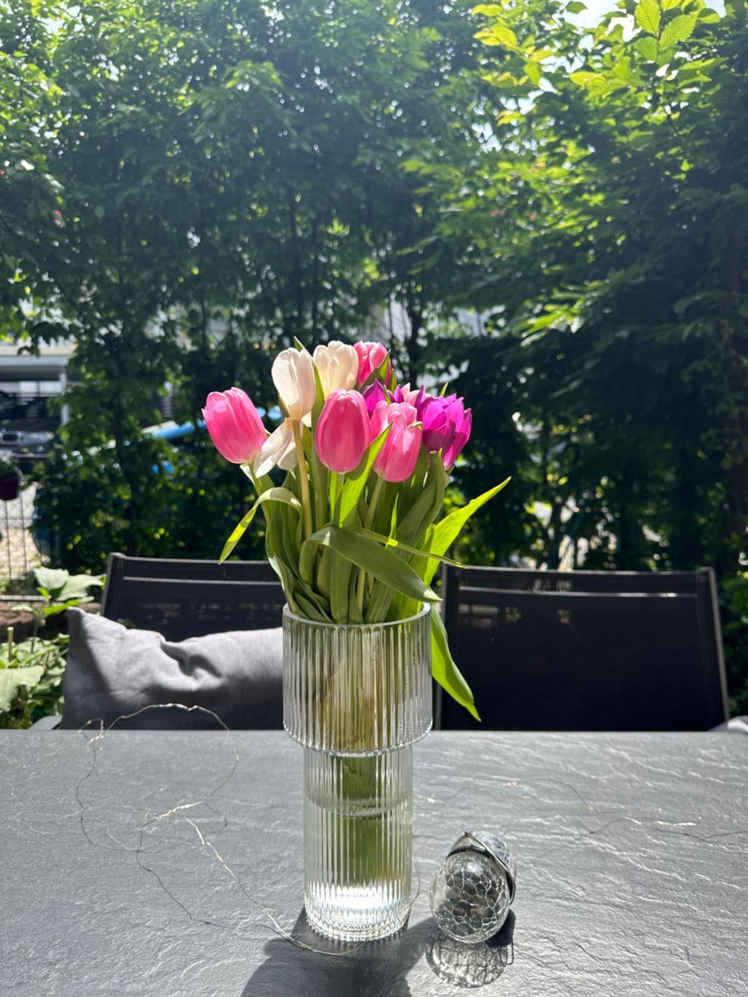 Luxus I Wohnkueche I Garten I Terrasse I Parkplatz Фюрт Экстерьер фото